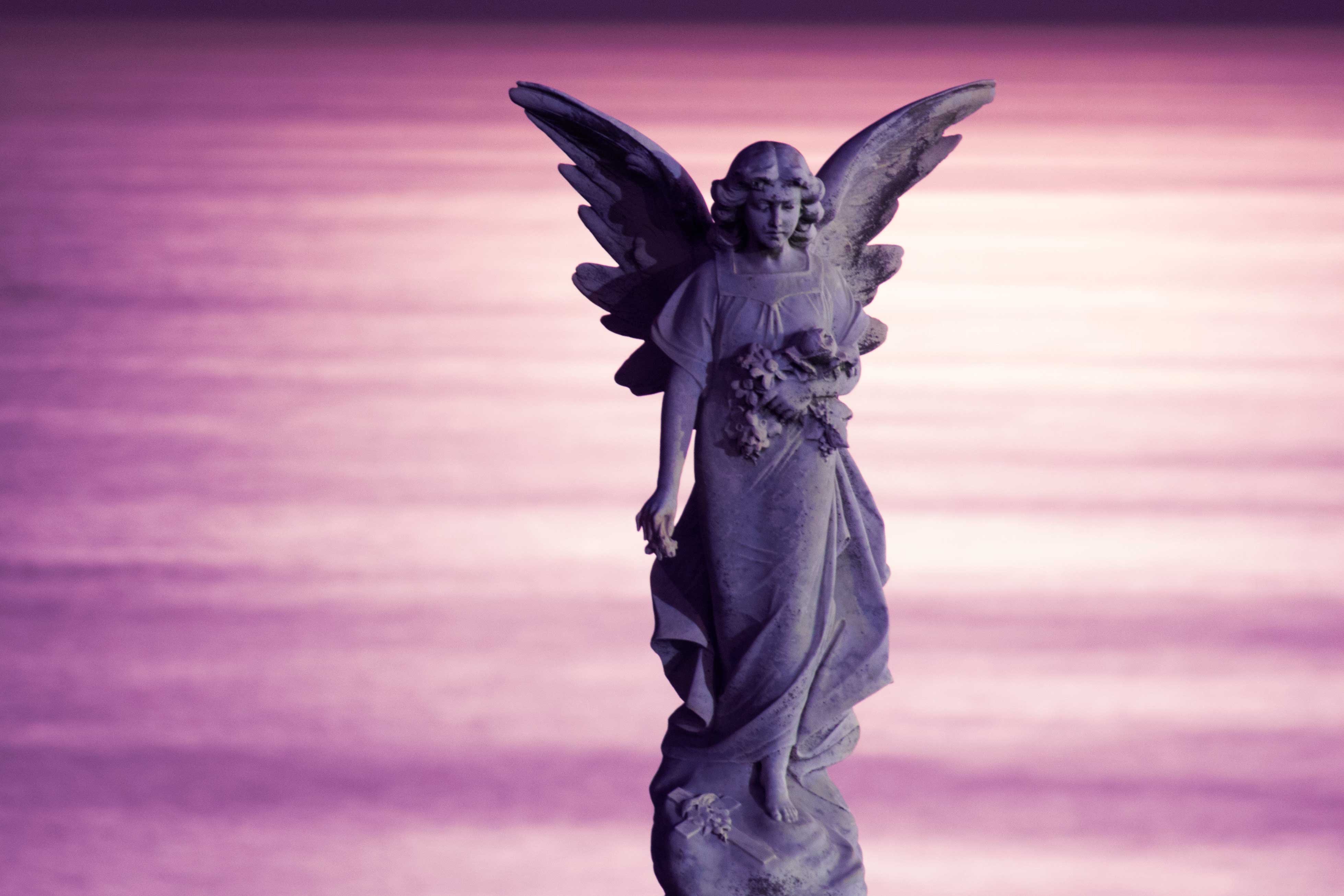 3K2A1176_edit_1_crop_1