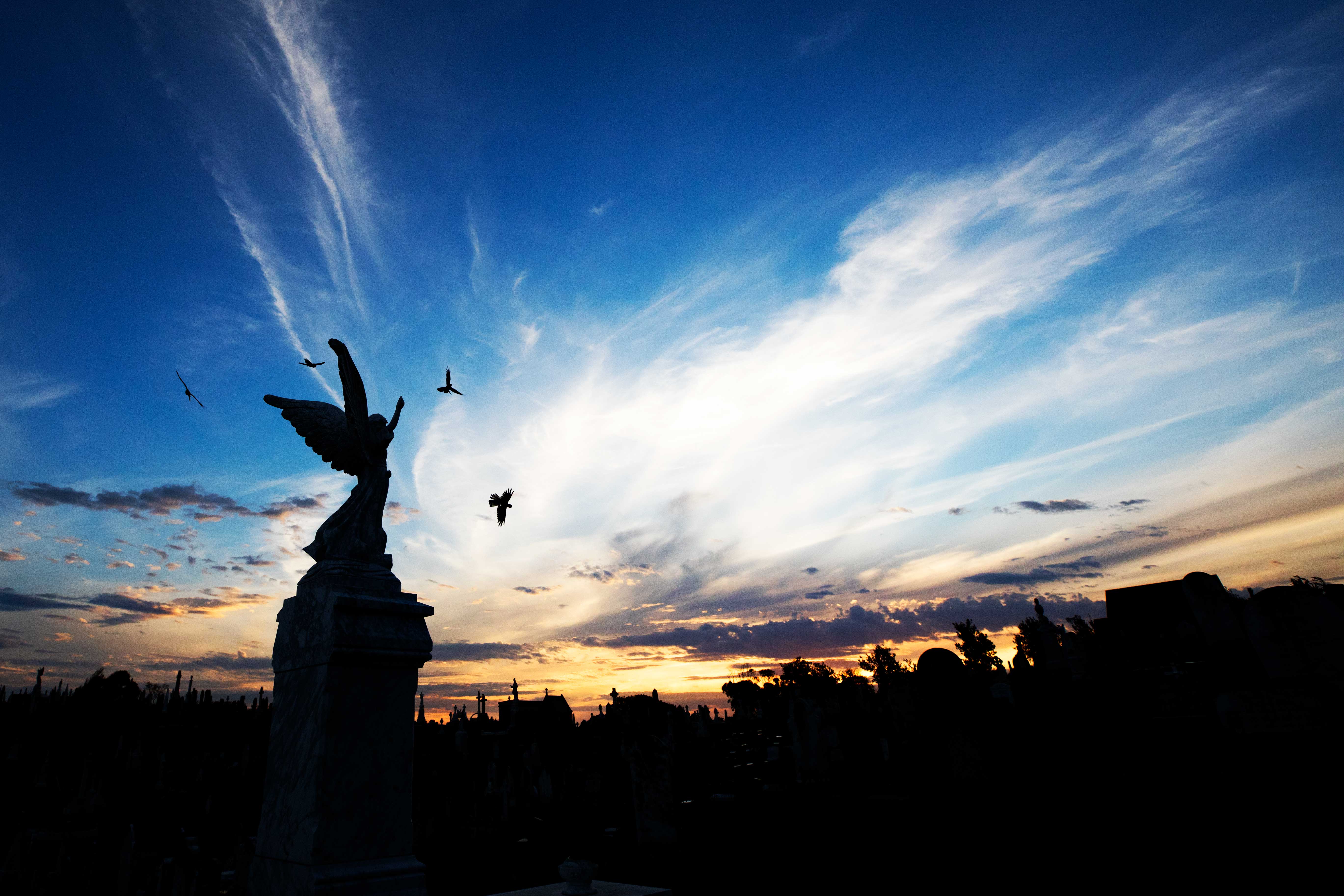 3K2A5656_edit_1_crop_1