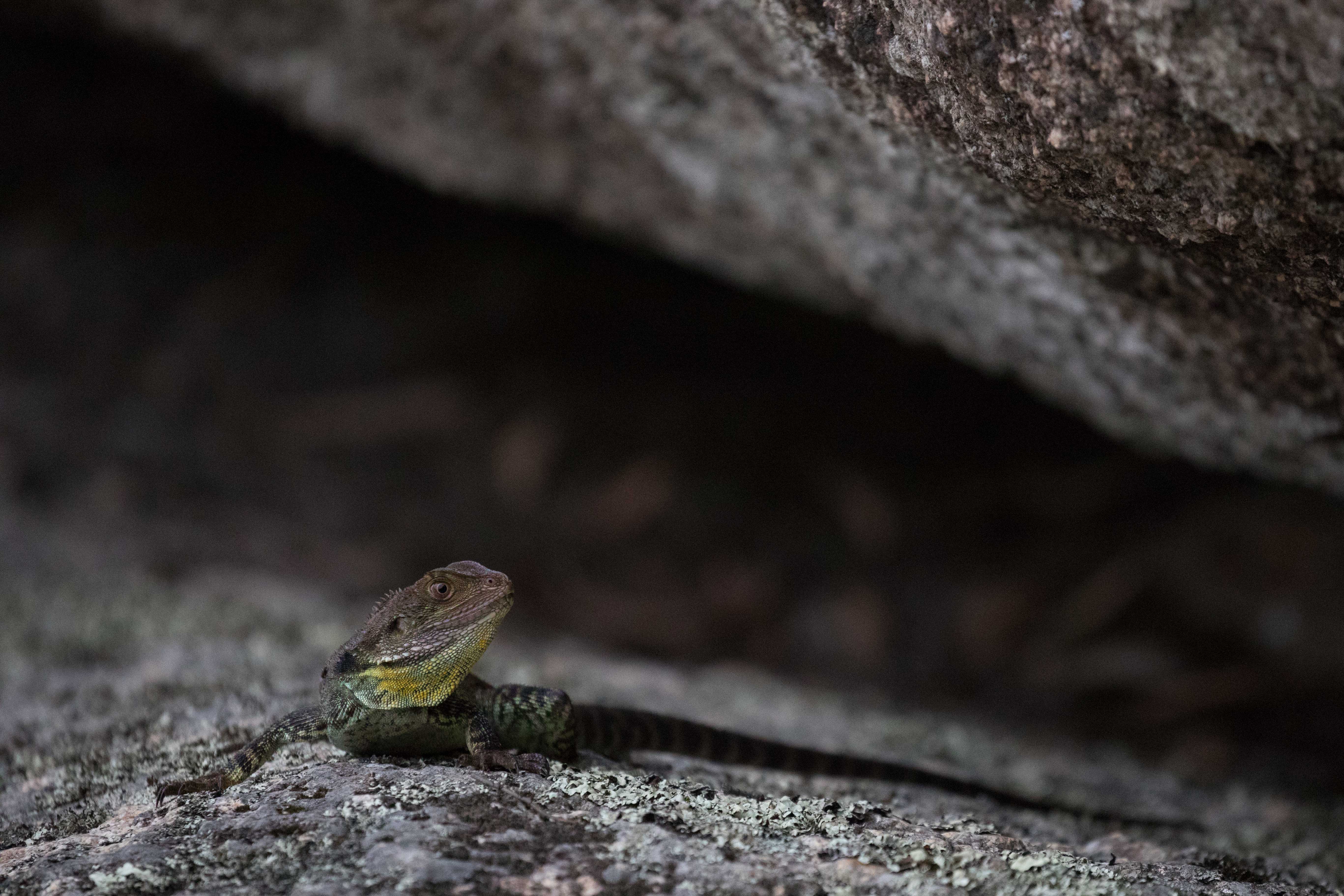 3K2A7255_edit_1_crop_1