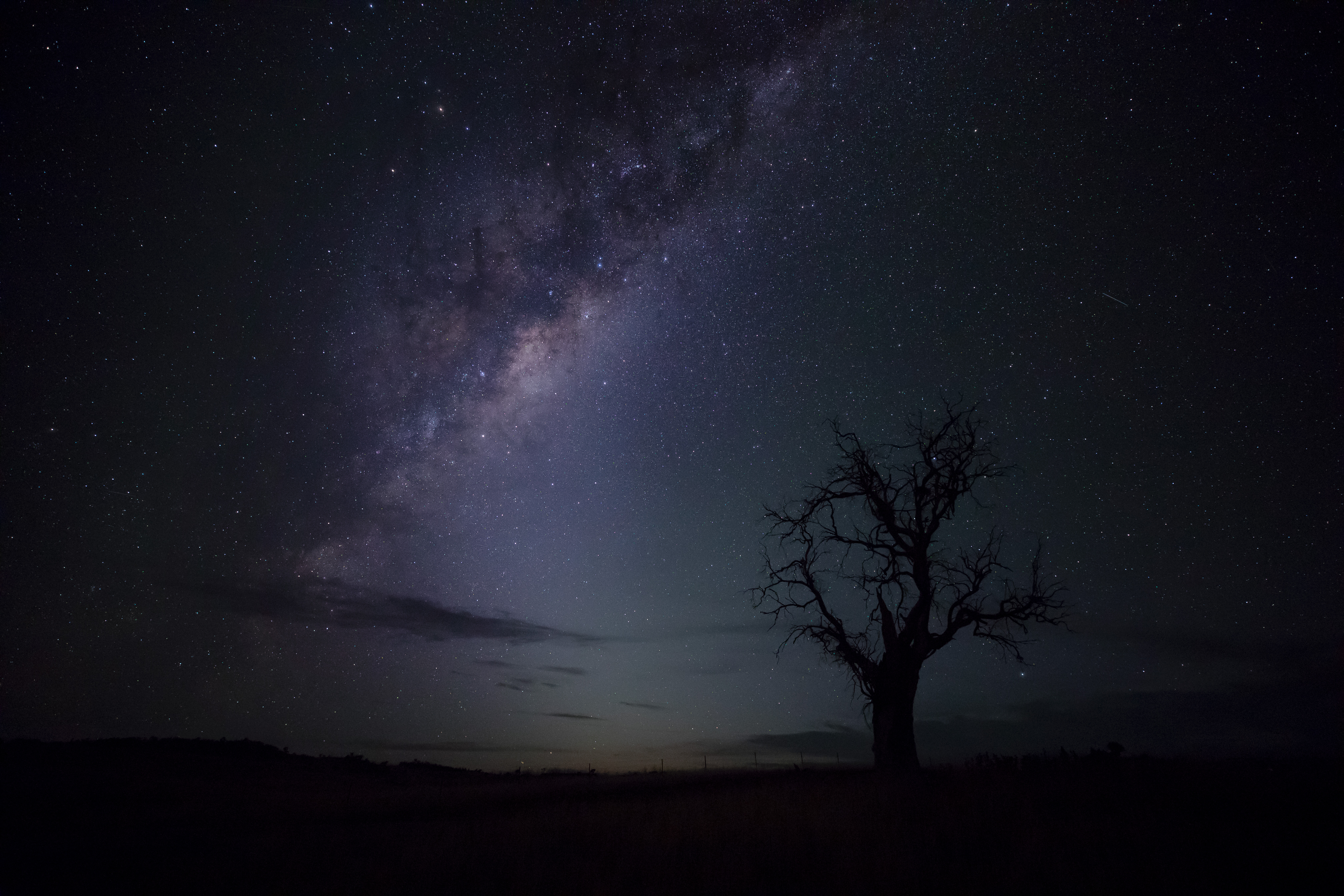 3K2A7481_edit_1_merge