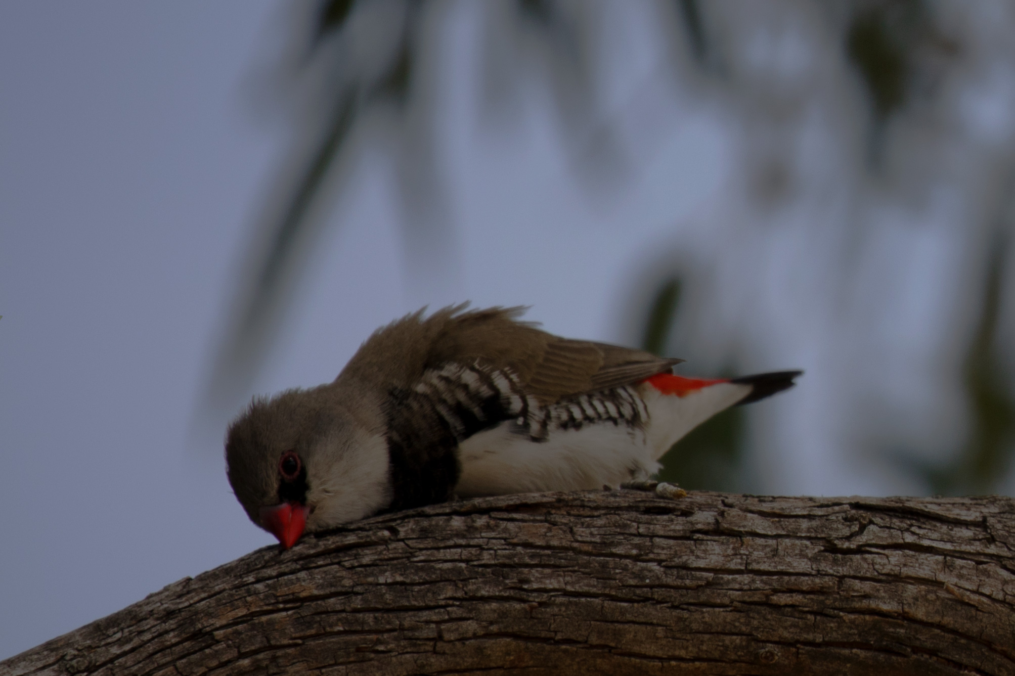 3K2A7646_edit_1_crop_2